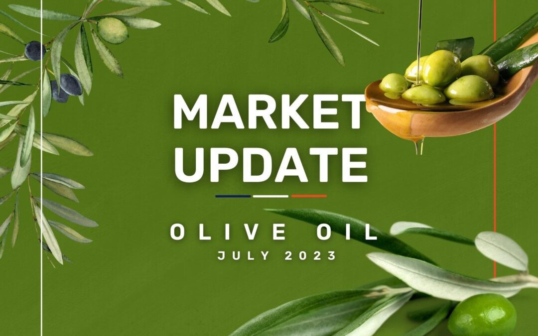 Market Update: Olive Oil July 2023