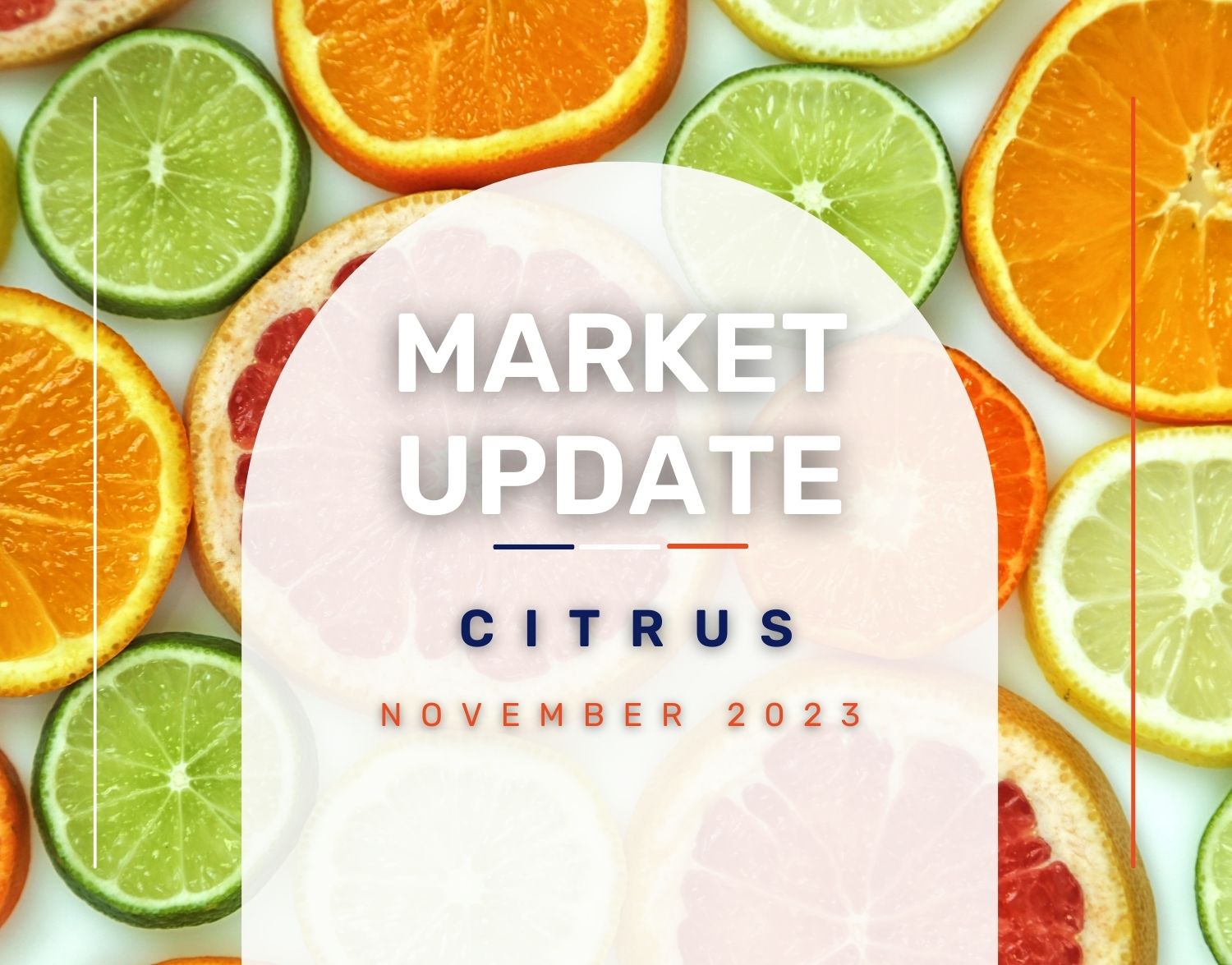 https://www.lupafoods.com/wp-content/uploads/2023/11/Lupa-Foods-Citrus-Market-Update-Nov-23.jpg