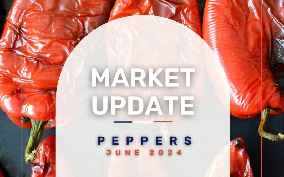Market Update: Peppers June 2024