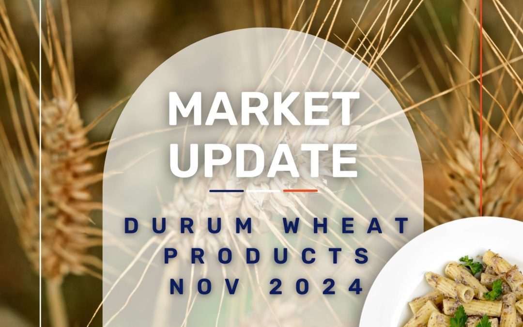 Market Update: Durum Wheat November 2024