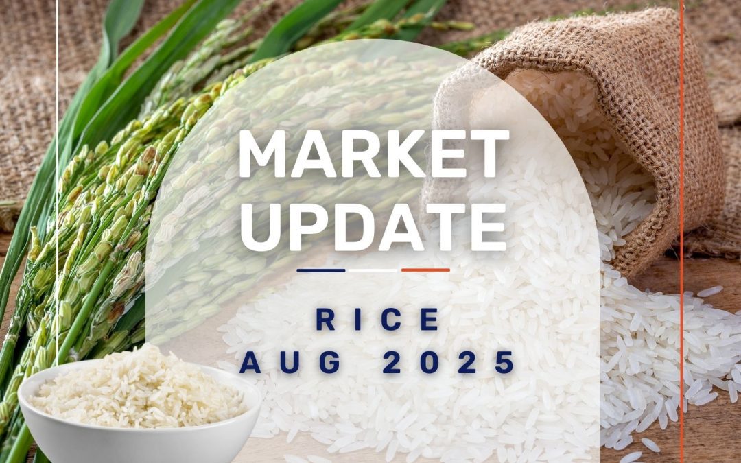 Market Update: Rice