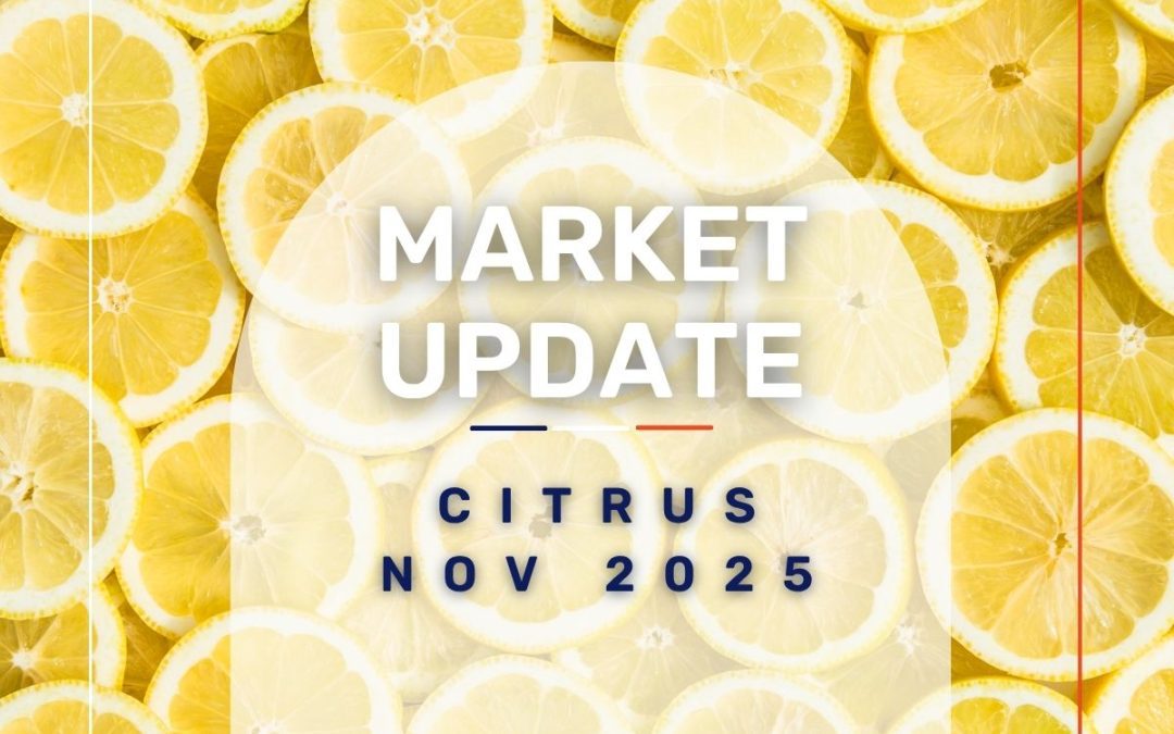Market Update: Citrus